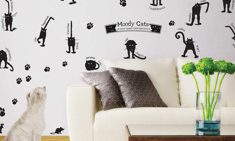 Zidne naljepnice modne mačke - WS073