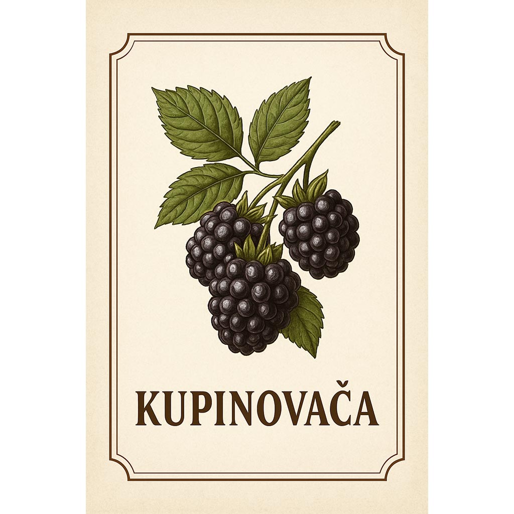 Personalizirana etiketa za rakiju od kupina – elegantna vintage naljepnica - EF212