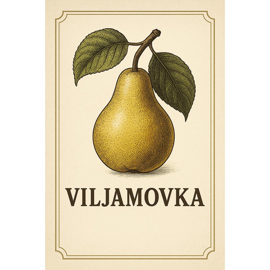 Rustikalna personalizirana etiketa za boce rakije  Viljamovka - EF205