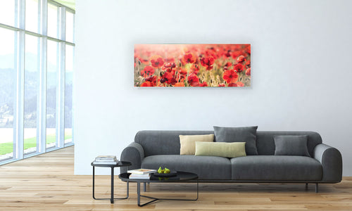 Art zidne slike  Tuscan red poppies - AP089