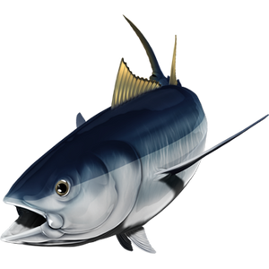 Albacore riba naljepnice, samoljepljive, 6 različitih dizajna - AUR047
