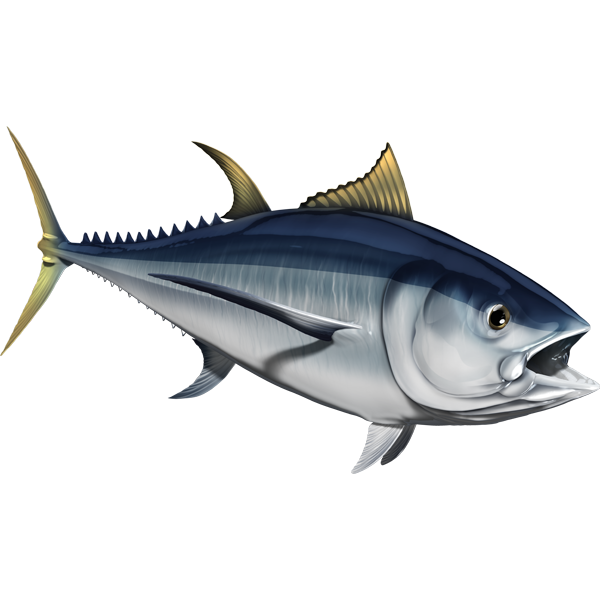 Albacore riba naljepnice, samoljepljive, 6 različitih dizajna - AUR047