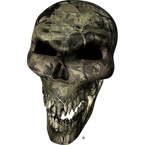 Naljepnice Camo Skull. AUR023