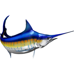 Blue Marlin riba naljepnice, samoljepljive, 6 različitih dizajna - AUR050