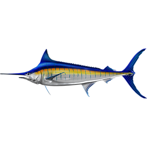 Blue Marlin riba naljepnice, samoljepljive, 6 različitih dizajna - AUR050