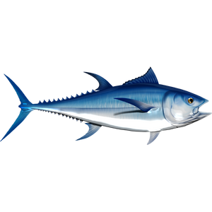 Bluefin Tuna riba naljepnice, samoljepljive, 6 različitih dizajna - AUR051
