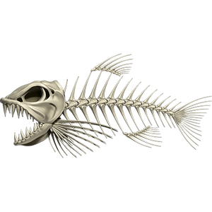 Bonefish 3 riba naljepnice, samoljepljive, 6 različitih dizajna - AUR056