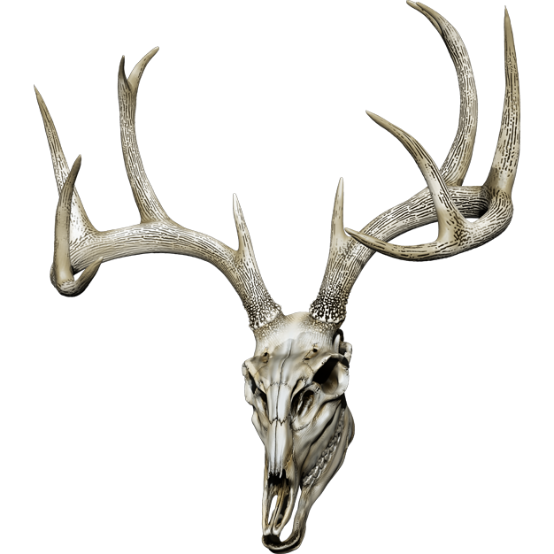Naljepnica Jelen - Buck Skull. AUR170