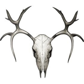 Naljepnica Jelen - Buck Skull - Buck 2. AUR168