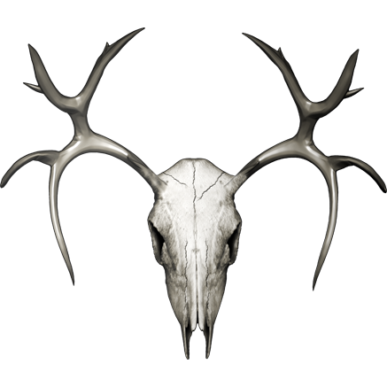 Naljepnica Jelen - Buck Skull - Buck 2. AUR168