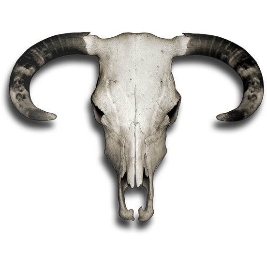 Naljepnica Jelen - Buck Skull. AUR171