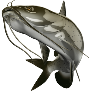 Catfish riba naljepnice, samoljepljive, 6 različitih dizajna - AUR058