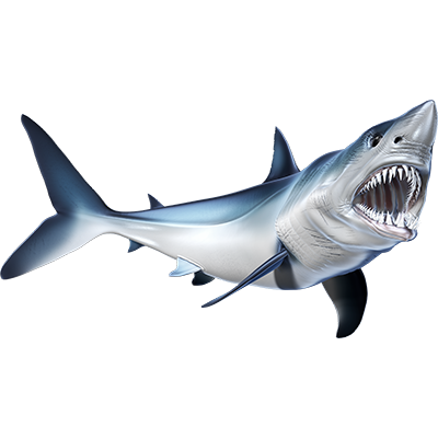 Mako Shark naljepnice, samoljepljive - AUR082