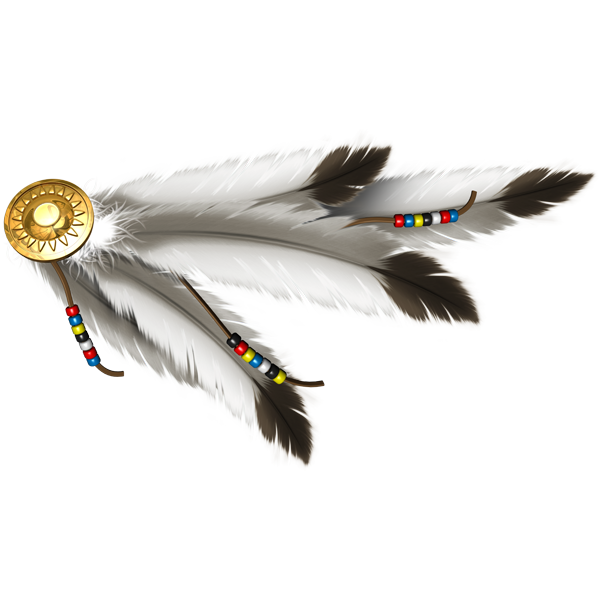 Naljepnica Feathers. AUR029