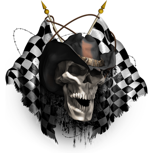 Naljepnice Race Skull za auto ili motor. AUR252