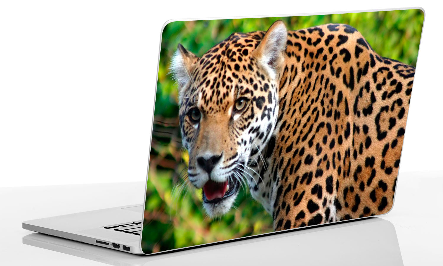 Laptop SKIN naljepnica, naljepnica za tablet, SK006