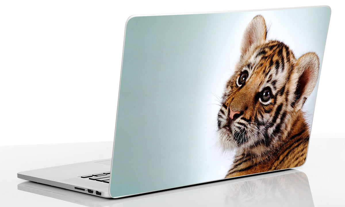 Laptop SKIN naljepnica, naljepnica za tablet, SK053