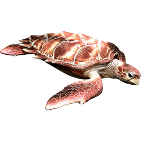 Sea Turtle  naljepnice, samoljepljive - AUR098