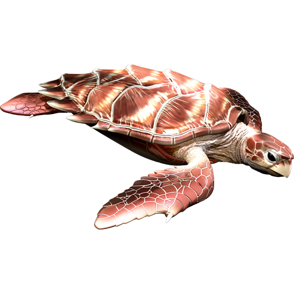 Sea Turtle  naljepnice, samoljepljive - AUR098