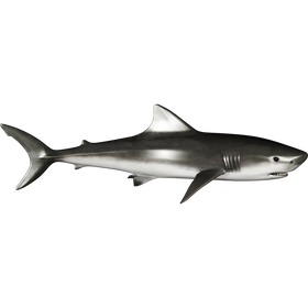 Shark naljepnice, samoljepljive - AUR099