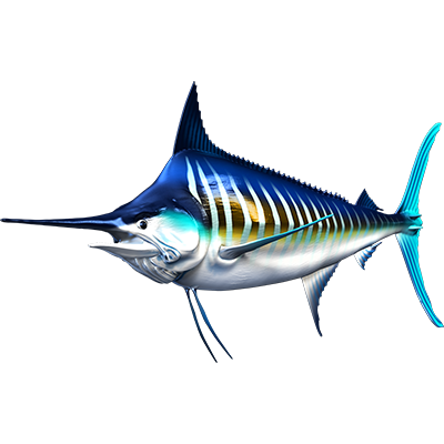 Striped Marlin naljepnice, samoljepljive - AUR104