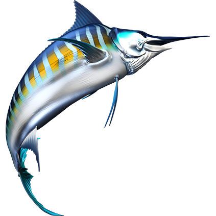 Striped Marlin naljepnice, samoljepljive - AUR104