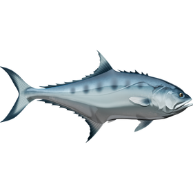 Talang Queenfish naljepnice, samoljepljive - AUR108