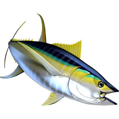 Yellowfin Tuna 2 naljepnice, samoljepljive - AUR119