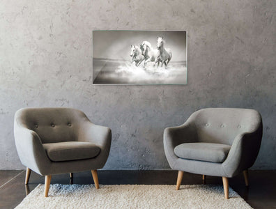 Art zidne slike horses - AP080