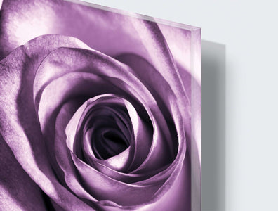 Art zidne slike rose - AP079
