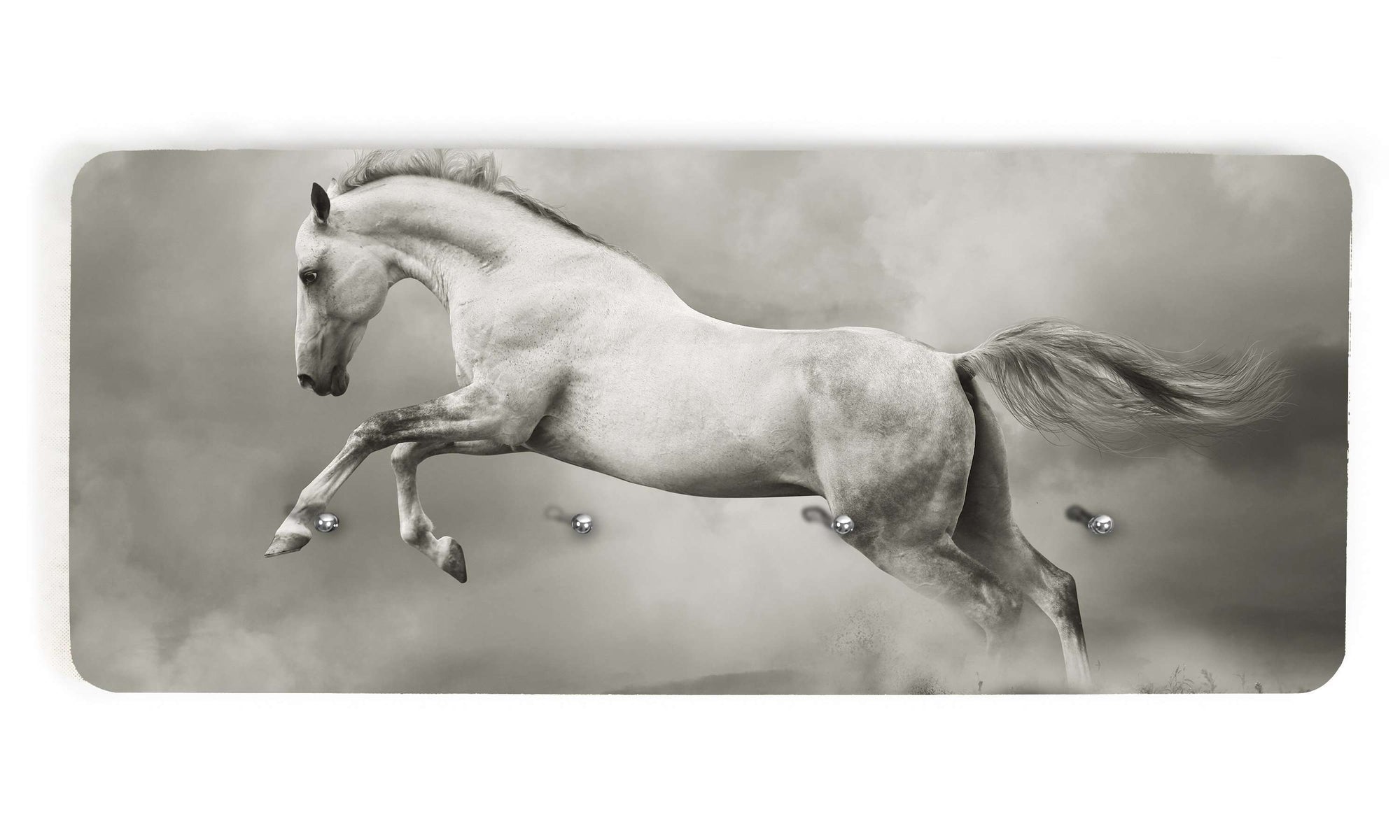 Art zidne Vješalice horse - AV008