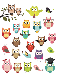 Cute owls - Dekoracije za prozore WL033
