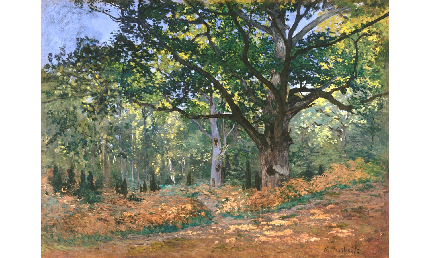 The Bodmer Oak, Fontainebleau Forest (1865) by Claude Monet, poster PS161