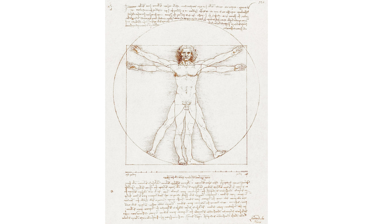 Leonardo da Vinci's Vitruvian Man (circa 1492), poster PS221