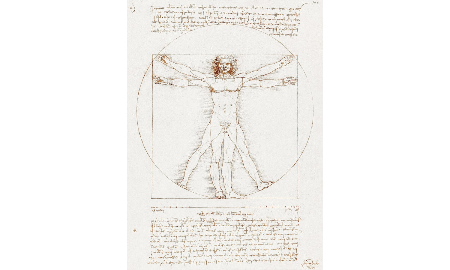 Leonardo da Vinci's Vitruvian Man (circa 1492), poster PS221