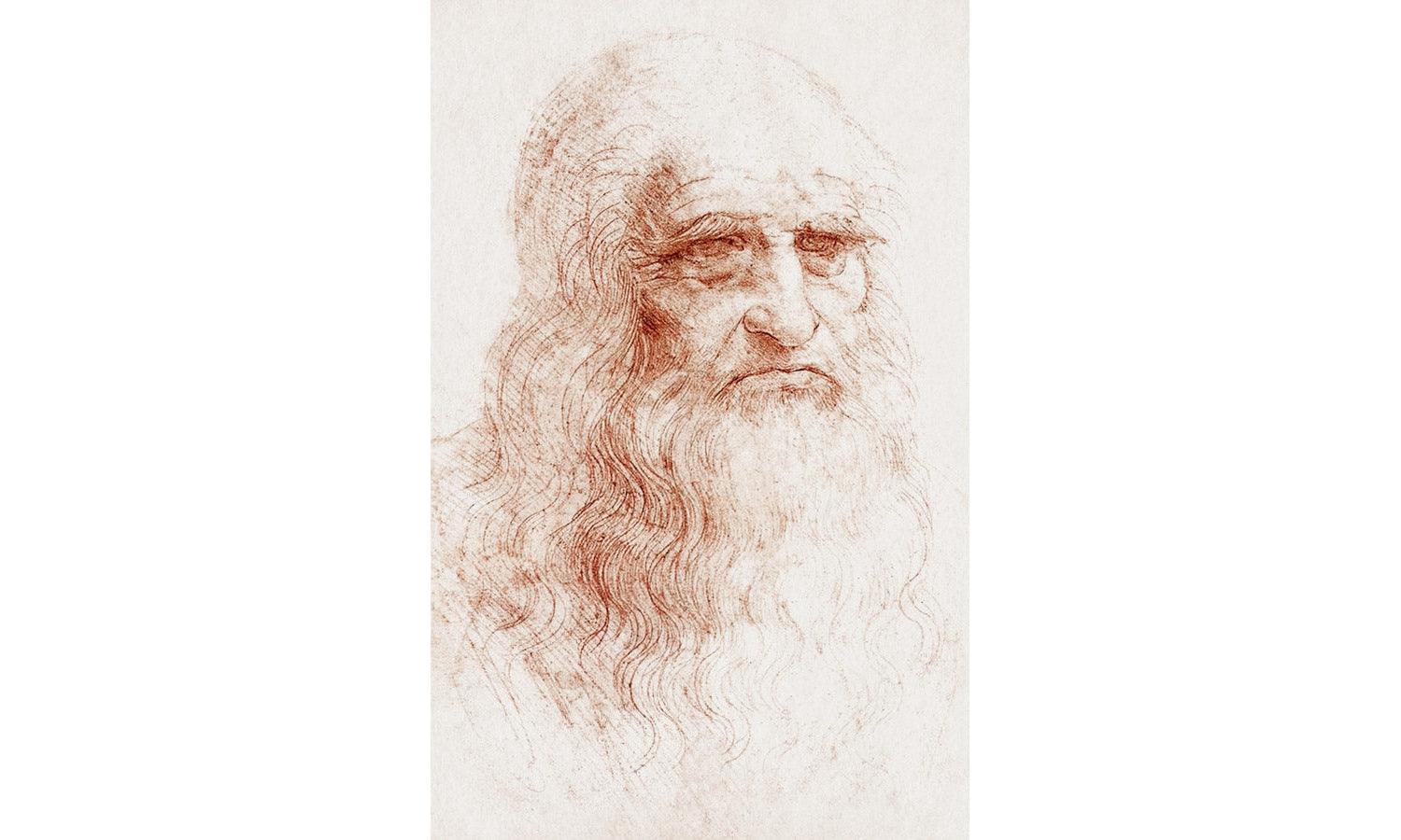 Leonardo da Vinci's Self-portrait (1512), poster PS223