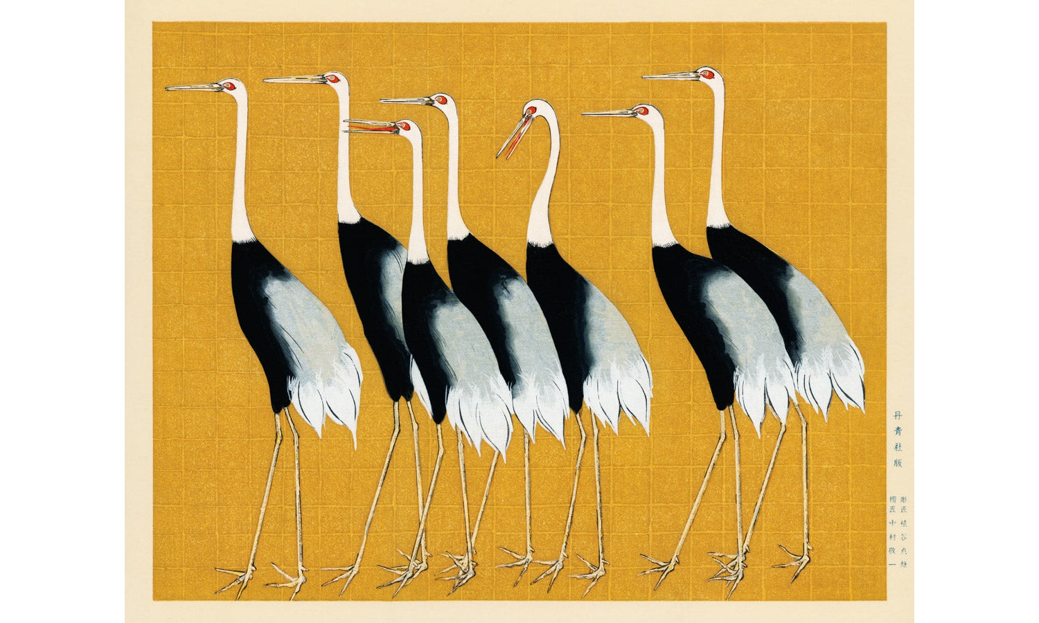 A traditional portrait of a flock of beautiful Japanese red crown crane by Ogata Korin (1658-1716), poster PS286