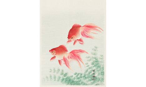 Two veil goldfish (1926) by Ohara Koson (1877-1945). Original from The Rijksmuseum, poster PS288