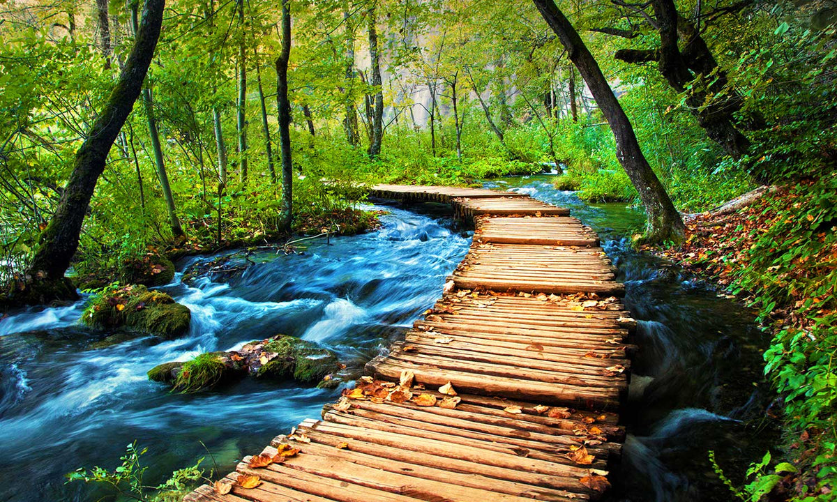 Zaštitnik od prskanja vodom Deep forest , kaljeno staklo - KA007