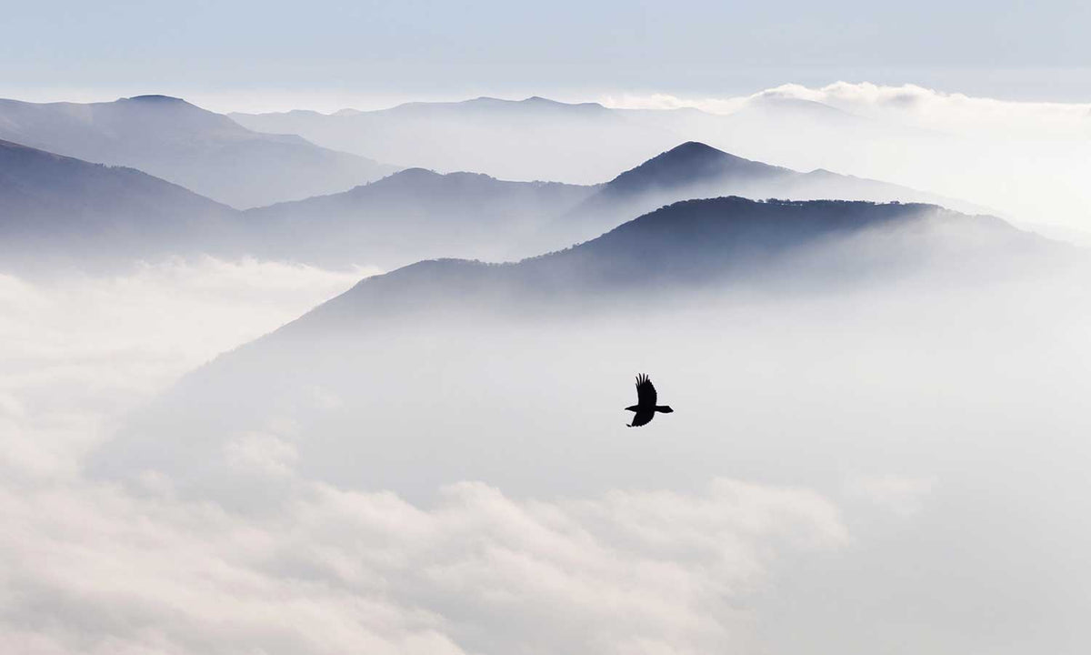 Zaštitnik od prskanja vodom Mountains, kaljeno staklo - KA096