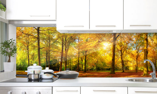 Paneli za kuhinje Jesenska panorama - Stakleni / PVC ploče / Pleksiglas -  sa printom za kuhinju, Zidne obloge PKU015