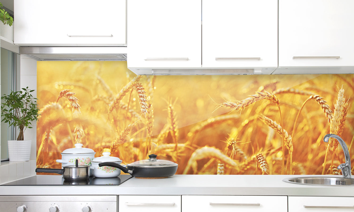 Paneli za kuhinje Wheat field - Stakleni / PVC ploče / Pleksiglas -  sa printom za kuhinju, Zidne obloge PKU017