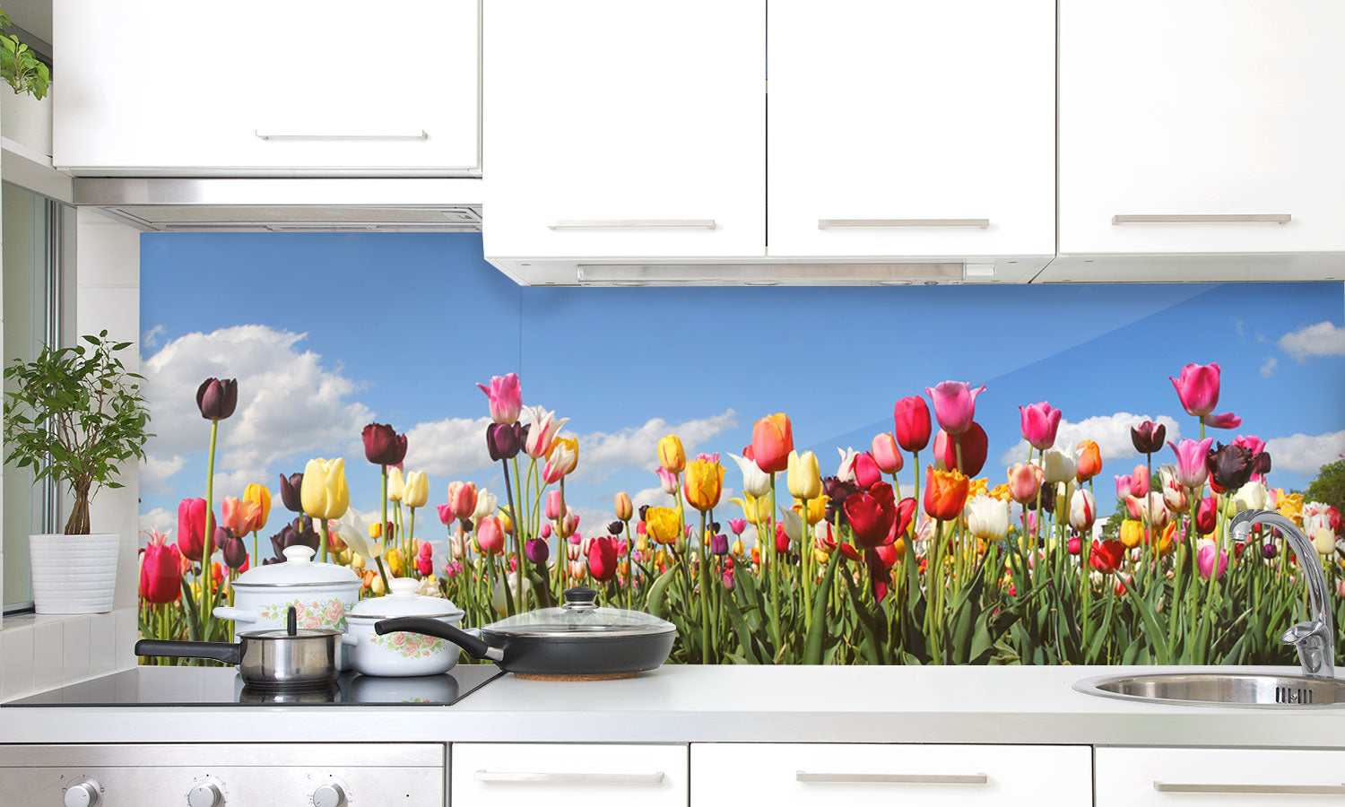 Paneli za kuhinje Panorama tulip field -  Stakleni / PVC ploče / Pleksiglas -  sa printom za kuhinju, Zidne obloge PKU029