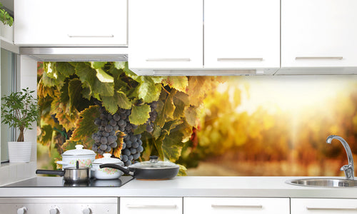 Paneli za kuhinje Vineyards at sunset -  Stakleni / PVC ploče / Pleksiglas -  sa printom za kuhinju, Zidne obloge PKU192
