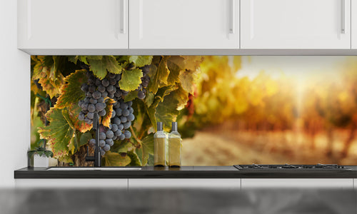 Paneli za kuhinje Vineyards at sunset -  Stakleni / PVC ploče / Pleksiglas -  sa printom za kuhinju, Zidne obloge PKU192
