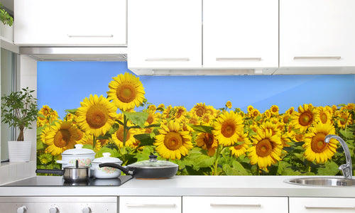 Paneli za kuhinje Suncokreti -  Stakleni / PVC ploče / Pleksiglas -  sa printom za kuhinju, Zidne obloge PKU203
