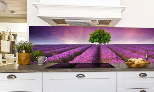 Paneli za kuhinje Stunning lavender field -  Stakleni / PVC ploče / Pleksiglas -  sa printom za kuhinju, Zidne obloge PKU217