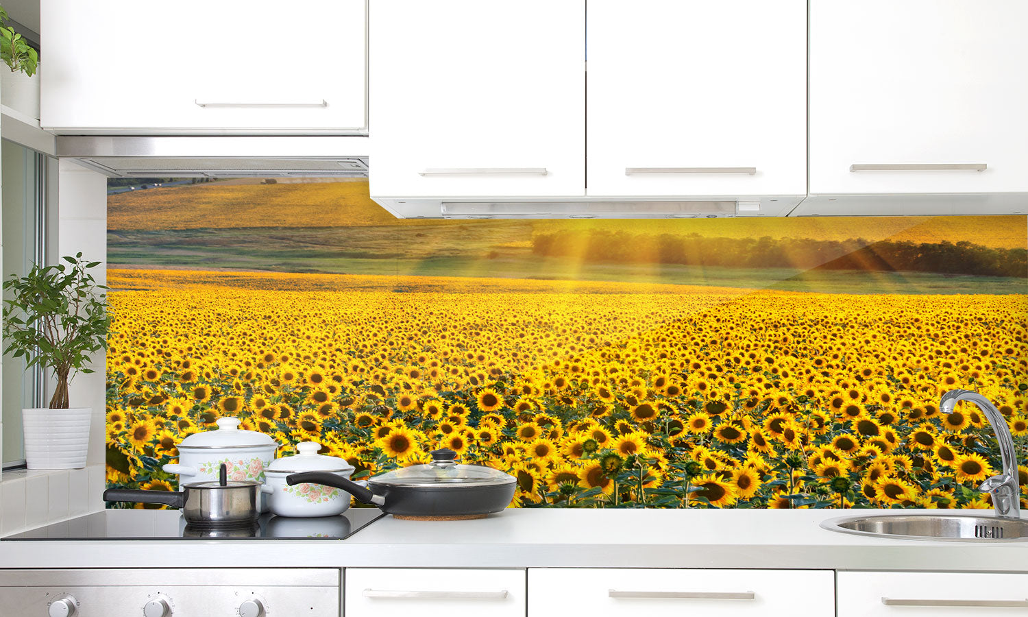 Stakla za kuhinje   Sunset over the field -  Stakleni / PVC ploče / Pleksiglas -  sa printom za kuhinju, Zidne obloge PKU290