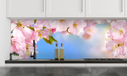 Stakla za kuhinje   Cherry blossoms -  Stakleni / PVC ploče / Pleksiglas -  sa printom za kuhinju, Zidne obloge PKU294
