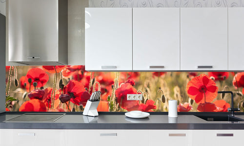 Stakla za kuhinje   Tuscan red poppies -  Stakleni / PVC ploče / Pleksiglas -  sa printom za kuhinju, Zidne obloge PKU299